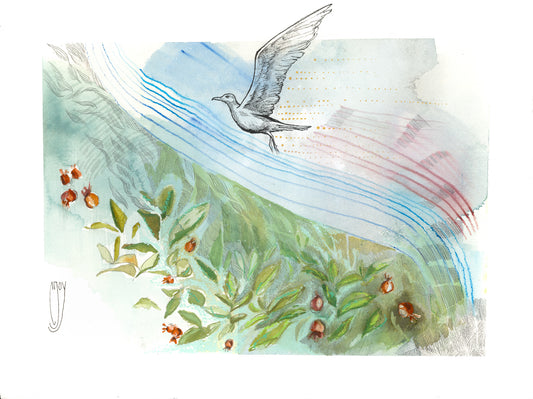 ~ Where the Gull Calls Home ~